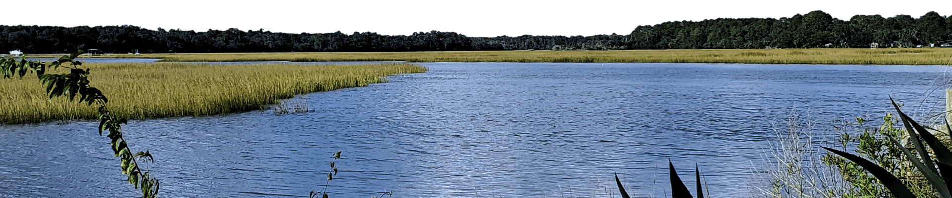sights along the waterway (1)