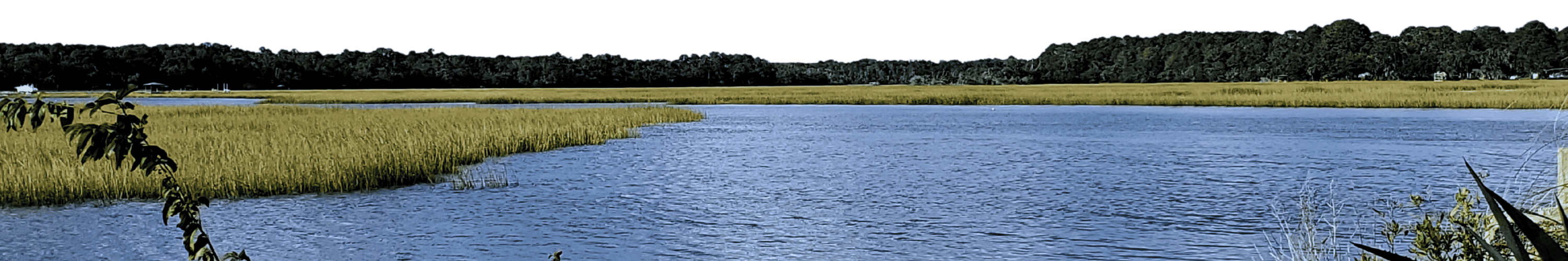 sights along the waterway (2)